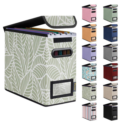 BALEINE File Organizer Box with Lid, Collapsible Hanging File Storage Box