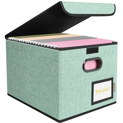 BALEINE File Organizer Box with Lid, Collapsible Hanging File Storage Box